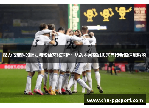 魔力鸟球队的魅力与粉丝文化探析：从战术风格到忠实支持者的深度解读