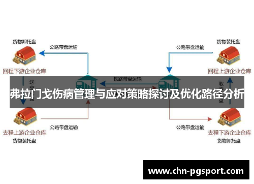 弗拉门戈伤病管理与应对策略探讨及优化路径分析
